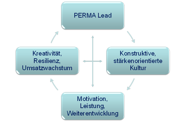Grafik Vorteile PERMA-Lead-Modell 